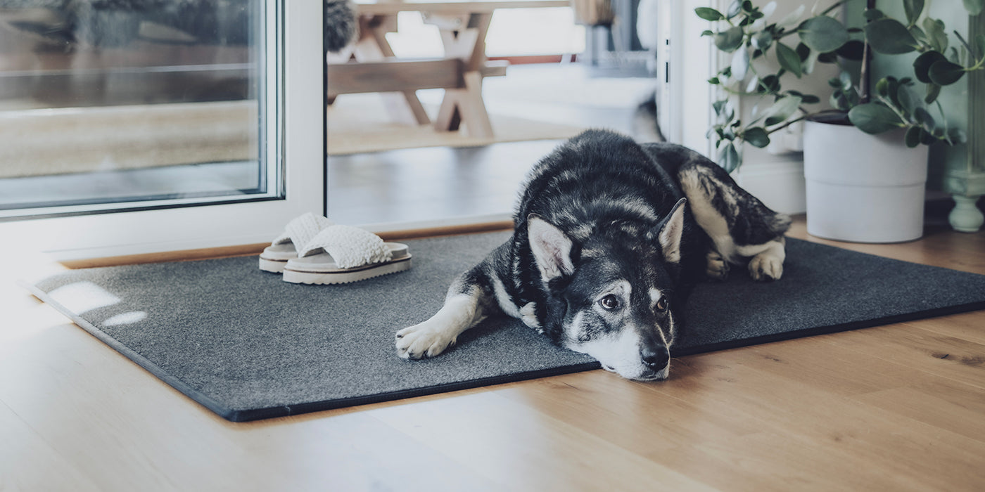 Hall- och dörrmattor i färdiga mått